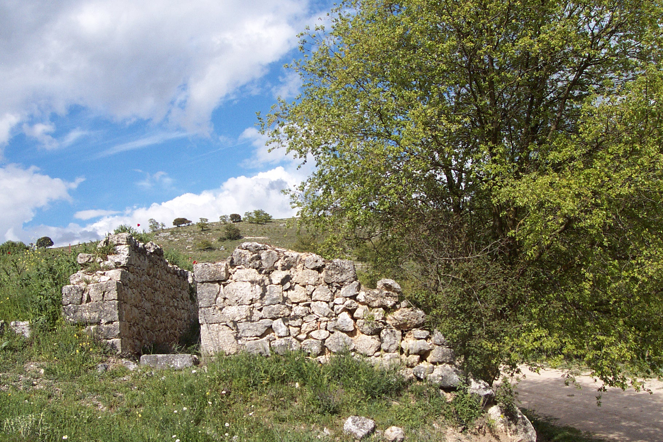 Encinas de Esgueva, pueblo castellano